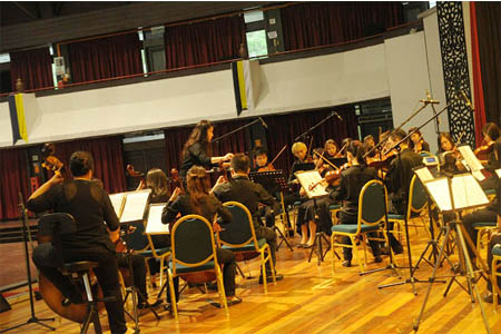 Orchestra Concert Performance from Music Department of Ecology Faculty UPM